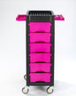 Pink Gemini Trolley